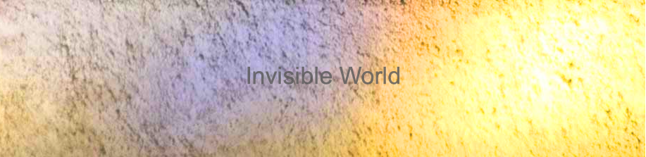 Invisible World