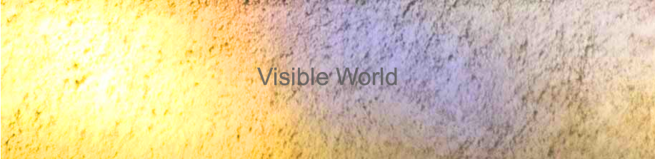Visible World